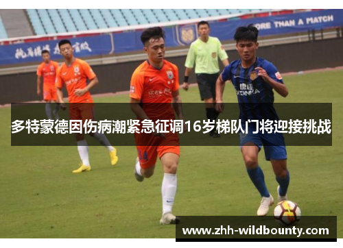 多特蒙德因伤病潮紧急征调16岁梯队门将迎接挑战